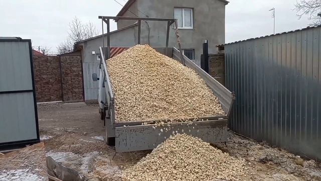 31 января 2023 г. смотреть онлайн