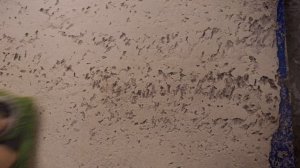 Декоративная Штукатурка ИЗ ОБЫЧНОЙ шпаклёвки ПОД ТРАВЕРТИН !!!  щётка 1000 линий