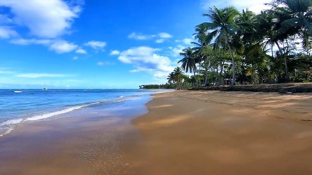 Best Caribbean Beach Towns Las Terrenas Samana Dominican Republic смотреть онлайн