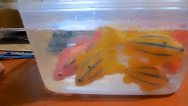 Robo Fish. Пробный пуск смотреть онлайн
