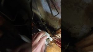 Котёл Zota balance 6 кВт, с погодозависимым терморегулятором WiFi на esp32