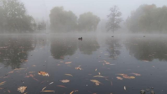 Seasonal living - Permission to slow down смотреть онлайн