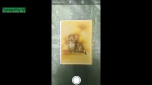 ✅ Как сделать скан документа или фото на Айфоне / сканировать документ на телефоне iPhone