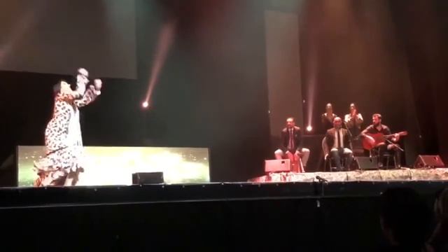 Lea Llinares - baile por Mirabrás смотреть онлайн