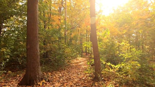 ЧТО ТАКОЕ ХРИСТИАНСКИЙ ЭГРЕГОР? ОТВЕТ НА ВОПРОС смотреть онлайн
