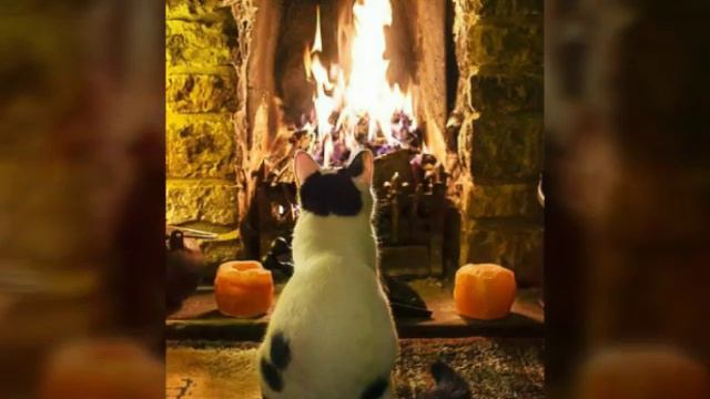 Хорошего зимнего настроения😉😉😉 смотреть онлайн