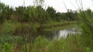 ABDULLOH DOMLA MUSO ALAYHISSALOM QISSASI