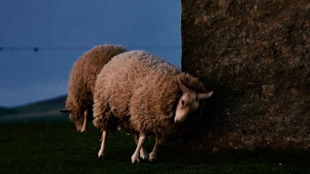 Что Будет Если не Мыть Шампунем Волосы 2 года смотреть онлайн