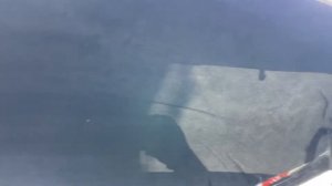 Автомобильный бокс Turino 360л усиление