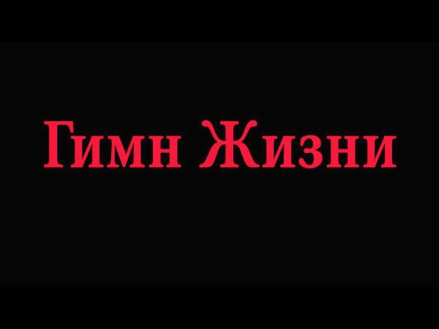 Встал и пошел смотреть онлайн