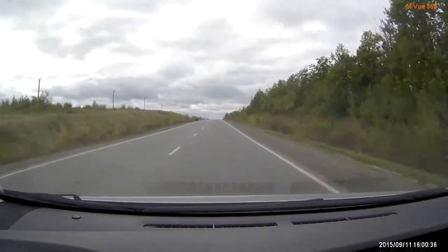 Медведь на дороге смотреть онлайн