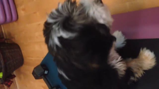 Pink Training Lesson 2