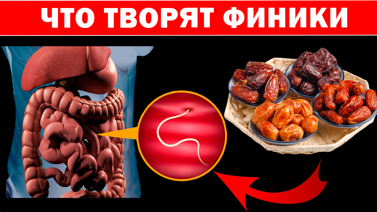 Многие кушают ФИНИКИ, и даже не знают о пользе и вреде фиников ! В чем Тайна КОСТОЧКИ финика? смотреть онлайн