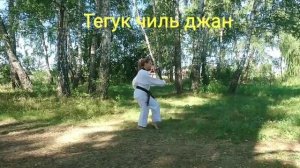 Пхумсе 7 Тхэквондо