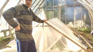 Вкопанная вторая плёночная теплица: плюсы, минусы, опыт