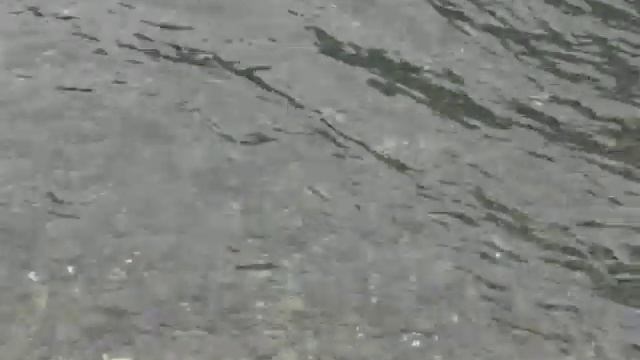 Рыбалка на форель батя рыбалка канада смотреть онлайн