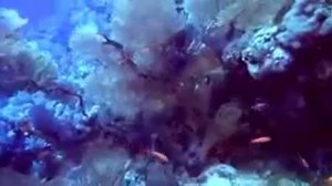 ❗❗❗Мантра денег  Мантра Манибхадра    Читает Андрей Дуйко 108 раз  шко