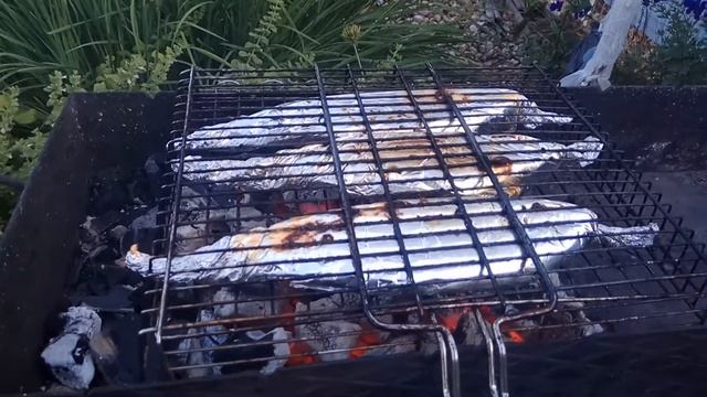 Творческий Путь к Саморазвитию