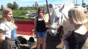 Катание на лошадях в Санкт Петербурге: Конный клуб Легенда