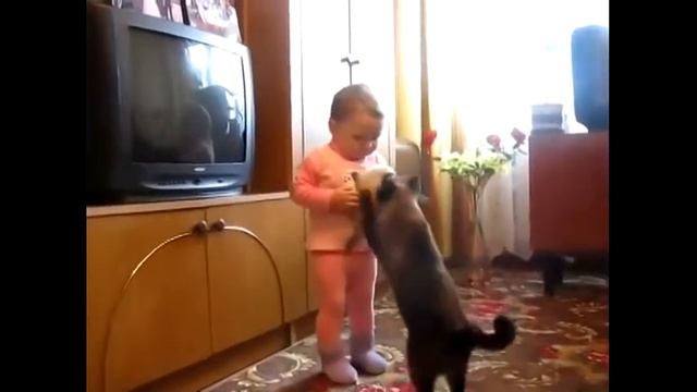 Прикол кошка забрала котенка. смотреть онлайн