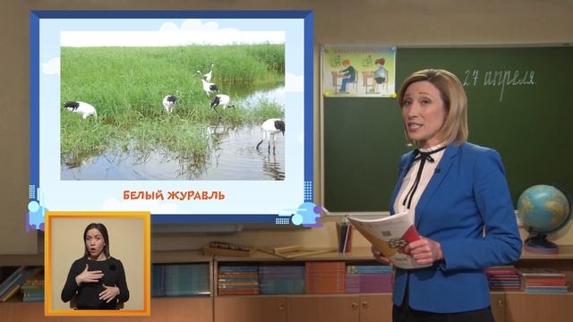 Телеурок для первоклассников - "Окружающий мир". 27.04.2020 смотреть онлайн