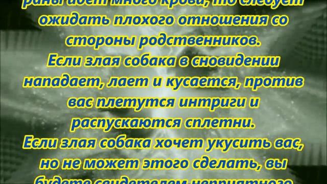 К чему снится укус собаки смотреть онлайн