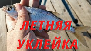 Ловля уклейки летом.