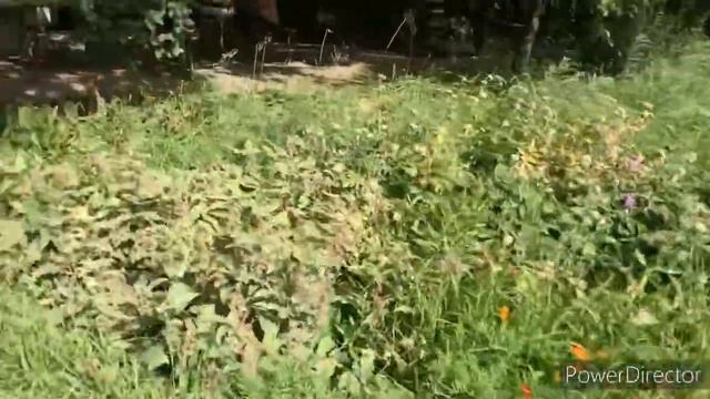 Чай из самовара на дровах/Купаемся на Урале. смотреть онлайн