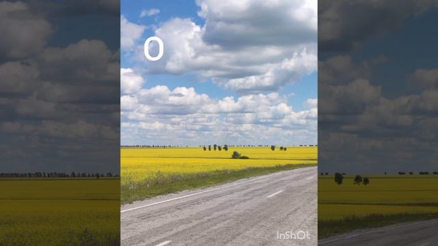 душа сказала больше не могу#жизнь#душа#стих#сердце