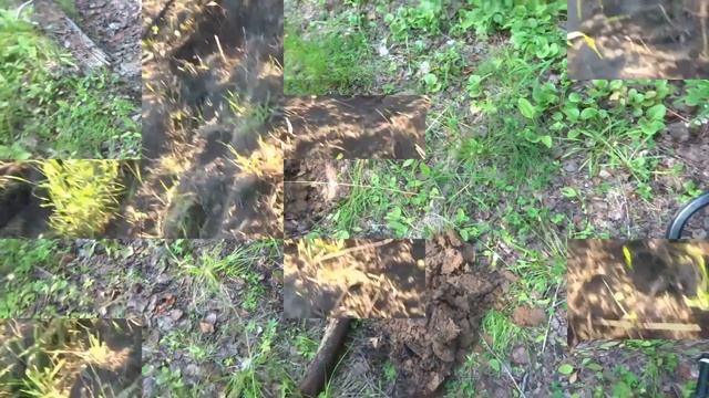 начало осеннего сезона смотреть онлайн