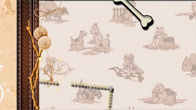 День рождение Папийона-papillon Barny 1год. смотреть онлайн