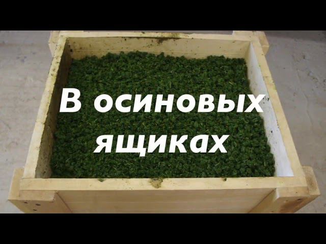 Борисоглебский иван чай смотреть онлайн
