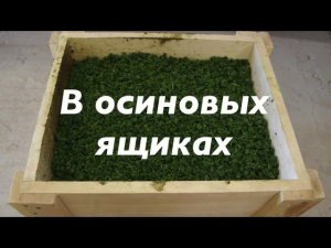 Борисоглебский иван чай