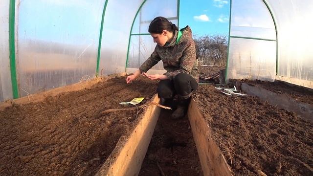 Рассада КАПУСТЫ 100% результат! смотреть онлайн