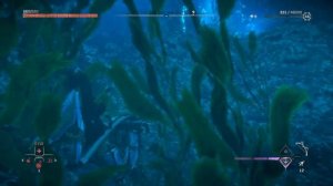 Horizon Запретный Запад_81 Затопленная Пещера: Выемка.