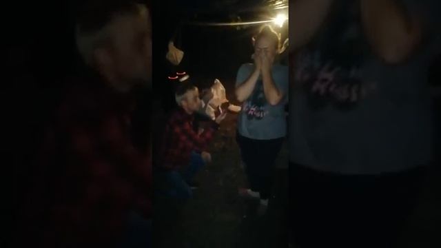 как я сделал предложение руки и сердца на природе, на отдыхе смотреть онлайн
