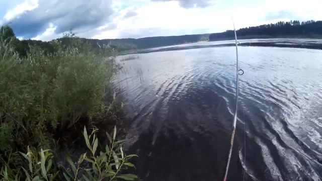 Очередная поездка на спиннинг река Сухона. смотреть онлайн