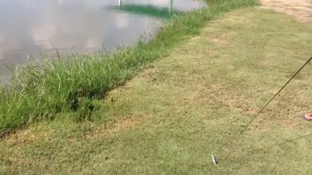 Ted chan fishing1 смотреть онлайн