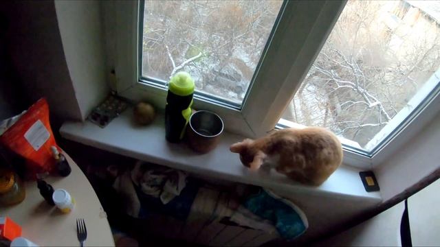 Один День Глазами Школьника  | Counter Strike На уроке  | (Один День От Первого Лица)