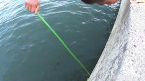 Как поймать креветку в море # Как и чем быстро наловить королевских креветочек