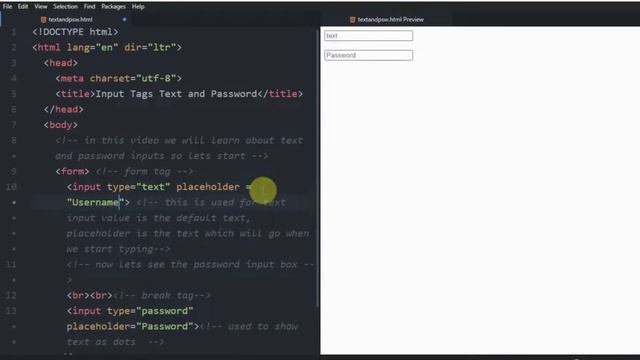 How to create text/input fields in HTML? | Text and Password Inputs | HTML Beginners смотреть онлайн