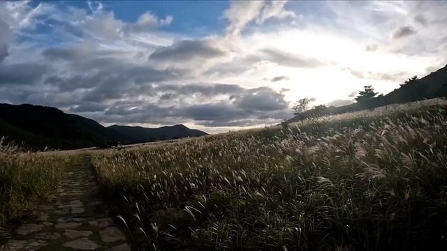 영남 알프스 환 종주 따라갔다가 환장할 뻔한 브이로그 - 백패킹이었지만 과연?