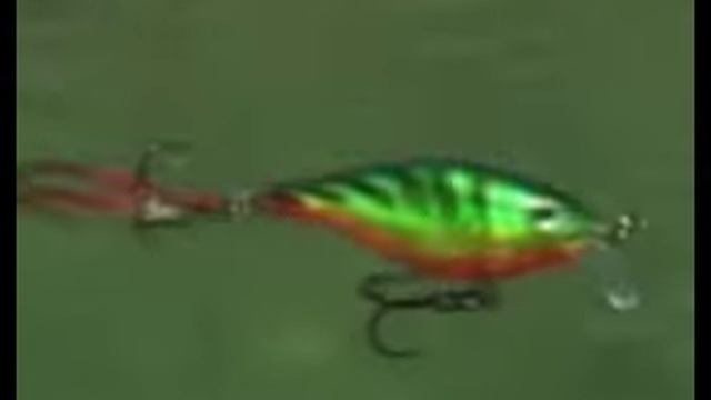 Rapala® X-Rap® Shad Shallow Swimming Action смотреть онлайн