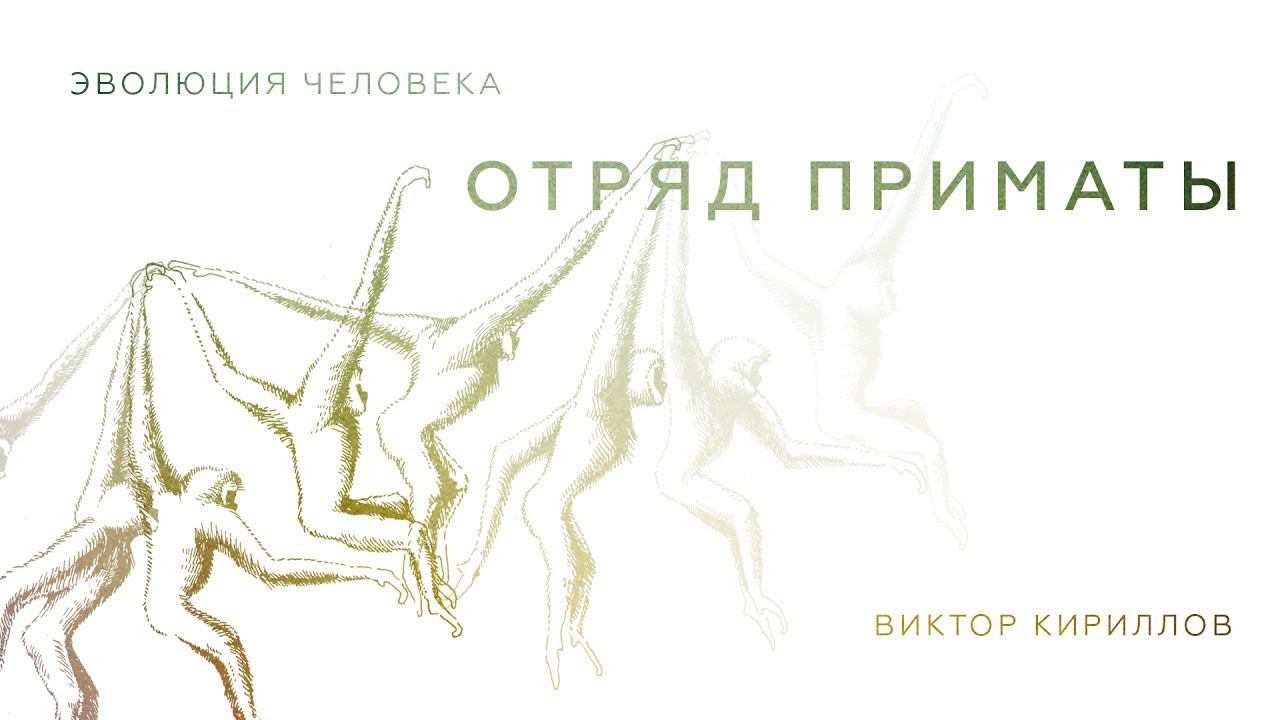 1. Отряд Приматы. Происхождение человека - 10 класс смотреть онлайн