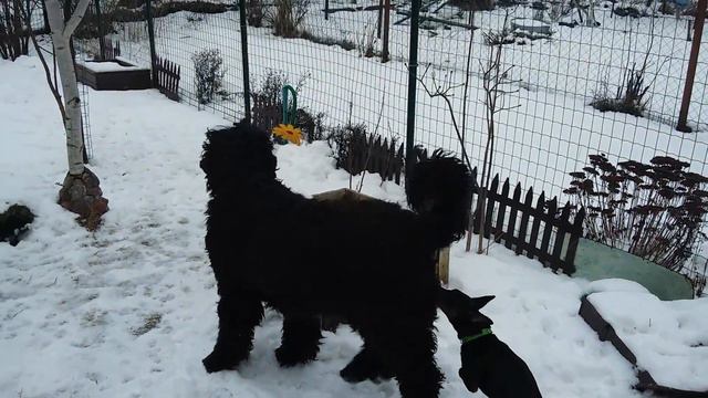 Выпал ночью снег смотреть онлайн