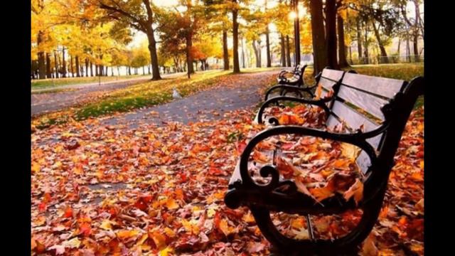 ОСЕНЬ.....Мой город опавшей листвой перегружен...и влагой осенней насквозь он пронизан.... смотреть онлайн