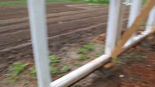 ТЕПЛИЦА из оконных рам смотреть онлайн