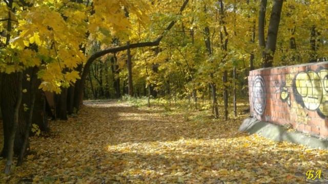 Осенняя пора - очей очарованье. Золотая осень. Звучит шикарная музыка Сергея Чекалина. смотреть онлайн