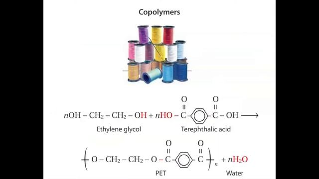 Biology Shorts - Monomers and Polymers (S2E2) смотреть онлайн