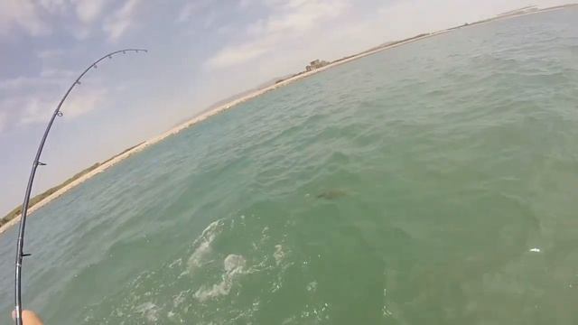 Pesca Lubina Desde Kayak Viking